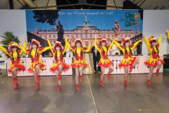 070_Prinzenpaarproklamation_2019